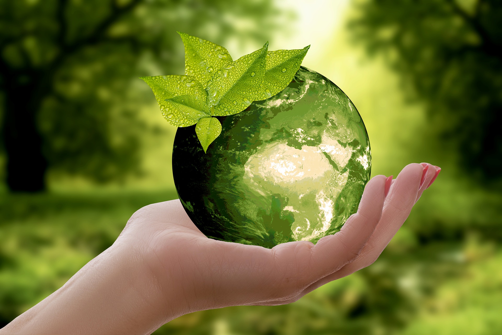 Экология и устойчивое развитие